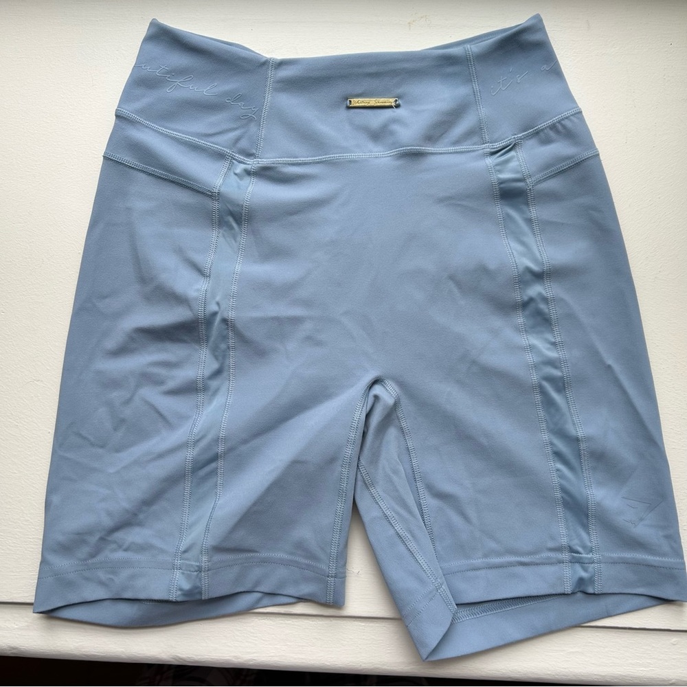 Whitney Simmons X Gymshark V3 Mesh Shorts